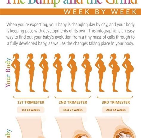 Pin On Baby Bumps
