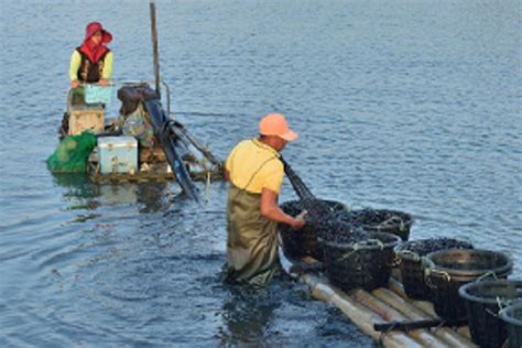 農委會政府補助漁民生活補貼 協助渡過疫情難關 世界民報