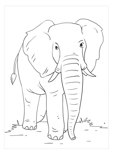 Elefante Andando Para Colorir Imprimir E Desenhar Colorirme