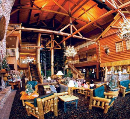 Park cabins include 1 double bed and 1 set of single bunk beds in the same room, with a small kitchen area and private bathroom with shower. Sandusky Hotel | Great Wolf Lodge Sandusky Oh