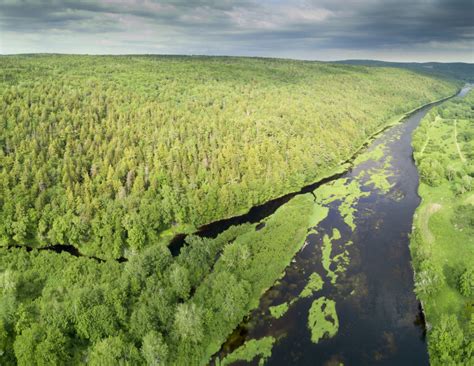 Nova Scotia Nature Trust Saving Our Last Great Forests