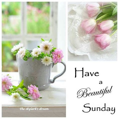 Have A Beautiful Sunday Afternoon Amalina