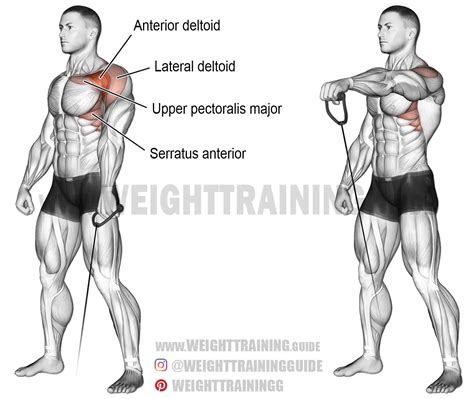 Cable One Arm Front Raise Exercise Instructions And Video