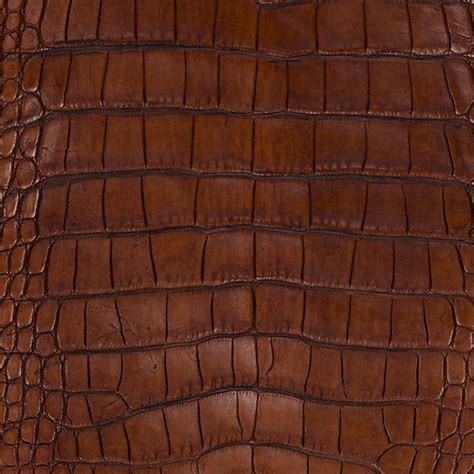 7 Reasons Alligator Skin Is Good For Motorcycle Seats