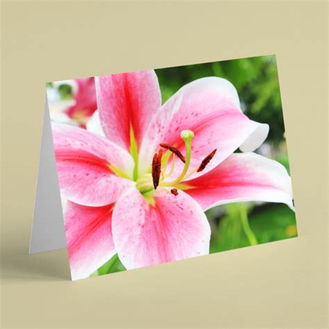 165 Pink Lily Thank You Card Beebooh