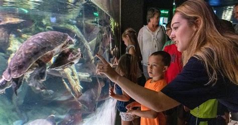 National Aquarium In Baltimore Full Details Before You Go Our Kids