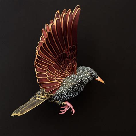 Diana Beltran Herrera Realistic Paper Birds Feather Of Me