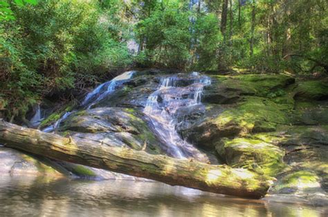 Top 5 Waterfalls Near Blue Ridge Official Georgia Tourism And Travel