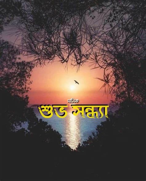 Pin By 🦋 Manik 🦋 On শুভ সন্ধ্যা Good Evening Messages Movie Posters