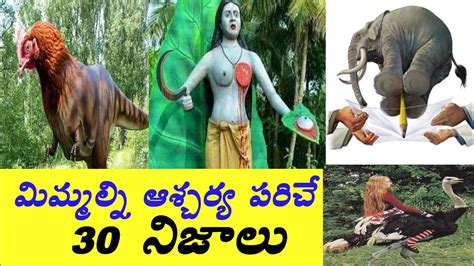 top 30 interesting facts in telugu unknown and amazing facts in telugu surprising facts