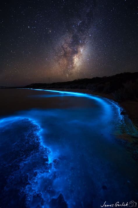 Voie Lactée Et Plage Luminescente En Tasmanie Photographe James