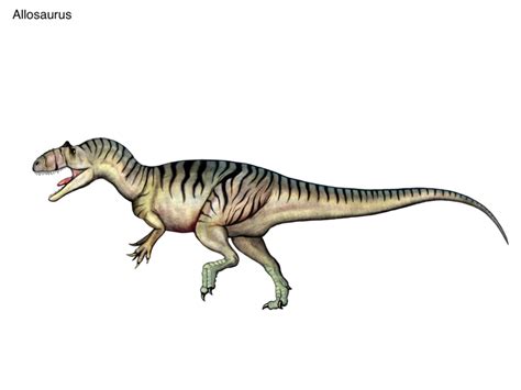 Allosaurus By Cisiopurple On Deviantart Deviantart Feathered