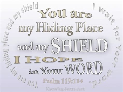 10 Bible Verses About God Being Our Hiding Place
