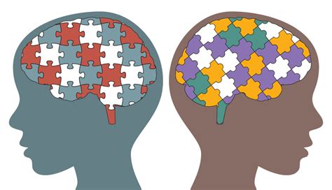 Unique Folding Patterns In Autism Brains The Nerve Blog Blog