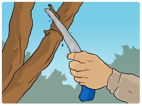 3 Ways To Prune A Crepe Myrtle Wikihow
