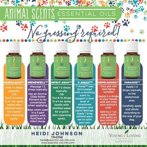 Common And Surprising Ways To Use Essential Oils For Dogs