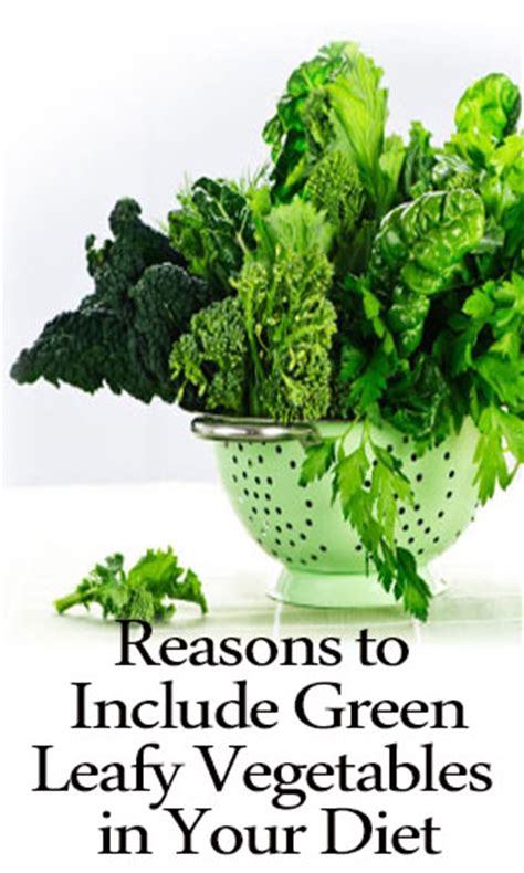 Reasons To Include Green Leafy Vegetables In Your Diet Lifelivity