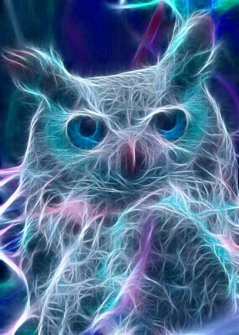 Fractal Owl Owl Pictures Owl Art Owl Wallpaper