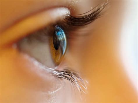 Can Children Wear Contact Lenses Reynolds Opticians