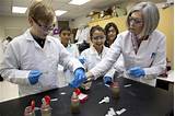 Images of Middle School Science Subjects