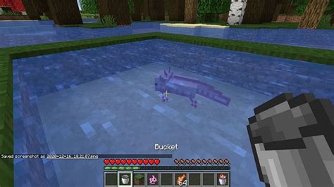 How To Pick Up An Axolotl With A Bucket In Minecraft