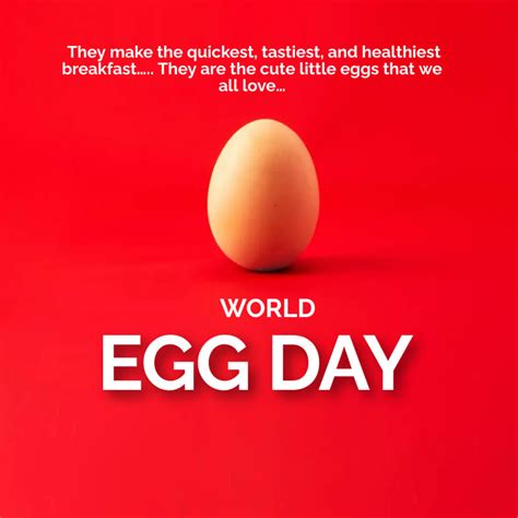 World Egg Day Quotes Messages And Theme
