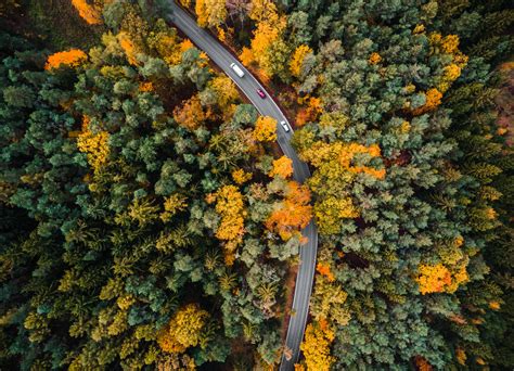 Download Aerial Forest Road Shot Best Autumn Wallpaper