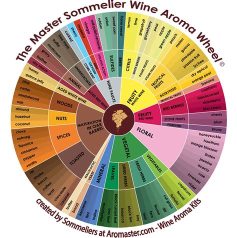 Wine Aroma Wheel By Aromaster Vin Vin Italien Guide Vin