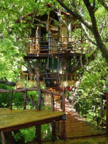 Best Treehouse Hotels In The World Thrillist