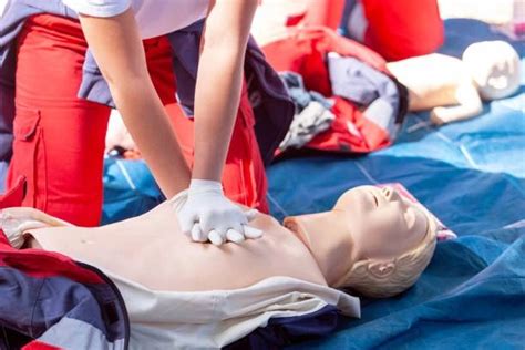 LifeSaver First Aid And CPR LLC First Aid And CPR Training