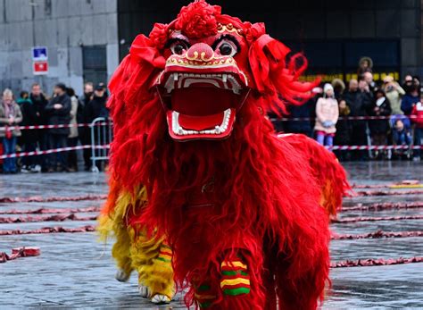 Today has been a very fun day! Chinese New Year in pictures: Amazing images of ...