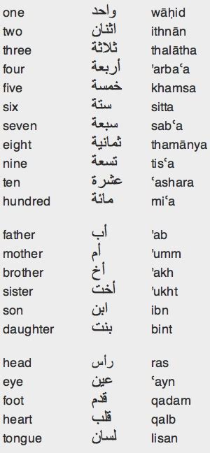 Ordinal numbers on the other hand tell the order of things and their rank: Arabic
