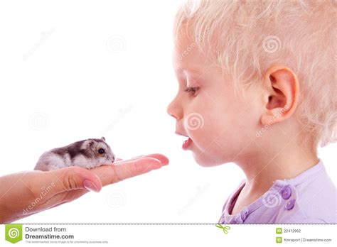 Child And Hamster Stock Photo Image Of Animal Expectation 22412962