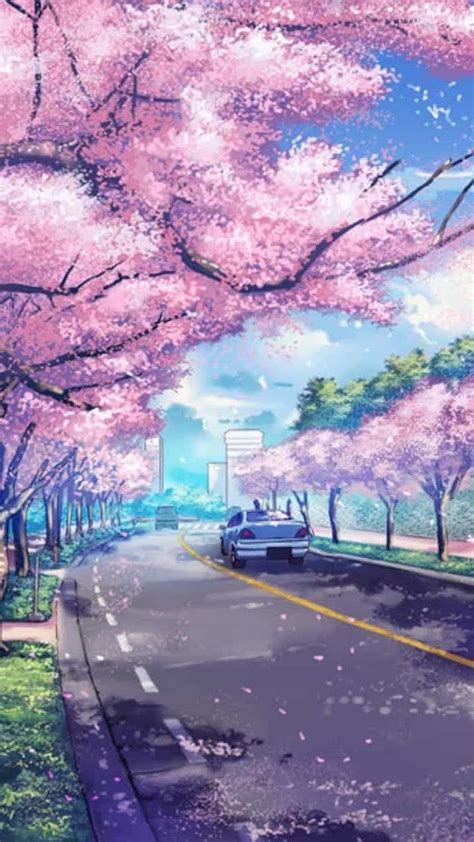 These 1051 anime iphone wallpapers are free to download for your iphone. painting of a road, with pink blooming trees along, spring ...