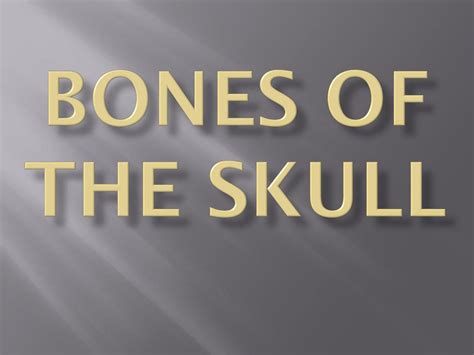 Ppt Bones Of The Skull Powerpoint Presentation Free Download Id