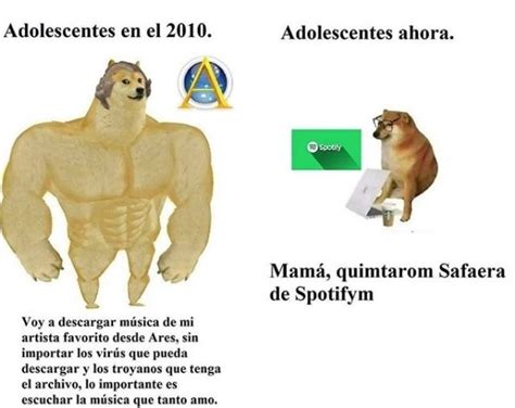 Los Mejores Memes De Doge Y Cheems Noticias De México El Imparcial