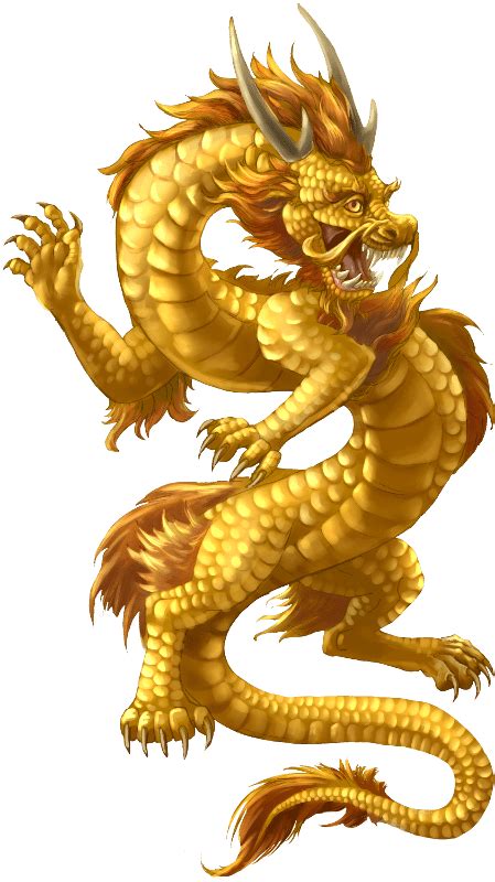 Golden Dragon Chinese Wexford Loch Garman 353 53 913 0400