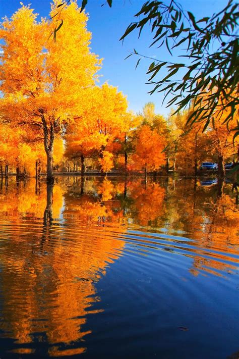 Fall Reflection Iphone Wallpaper Hd Autumn Landscape Autumn Leaves
