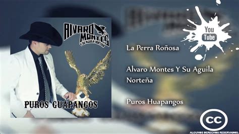 La Perra Roñosa Alvaro Montes Y Su Aguila Norteña 2017 Youtube