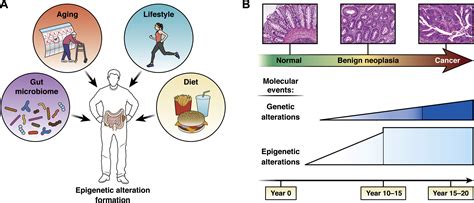 Epigenetic Alterations In The Gastrointestinal Tract Current And