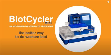 BlotCycler Automated Western Blot Processor