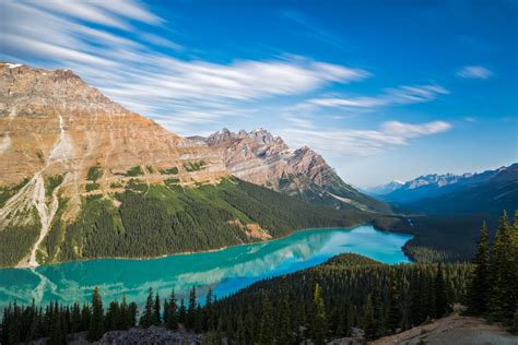 Nature Peyto Lake Hd Wallpaper