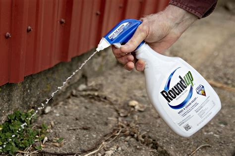 Roundup's Risks Could Go Well Beyond Cancer
