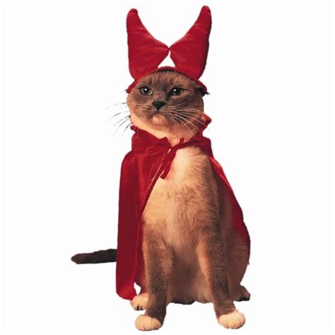 20 Of The Funniest Cats In Costumes Page 4 Of 5
