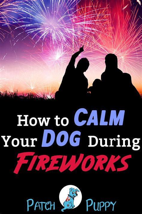 How To Calm Your Dog During Fireworks And The 1 Thing Guaranteed Not