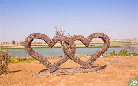 All About Love Lake In Dubai Timings Location And More Mybayut