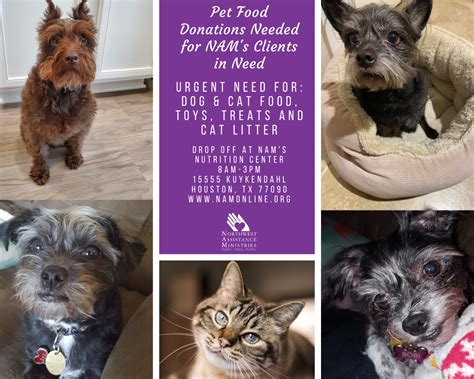 Maybe you would like to learn more about one of these? Pet Food Donations for NAM Seniors - Northwest Assistance ...