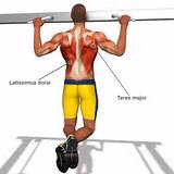 Images of Muscle Exercises To Do At Home