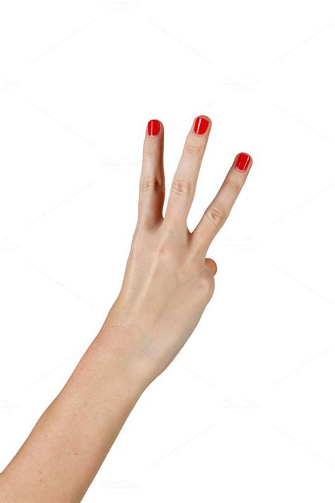 Female Hand Showing Three Fingers Hand Reference Hands Female
