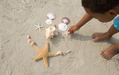 50 Interesting Things To Do At The Beach With Kids